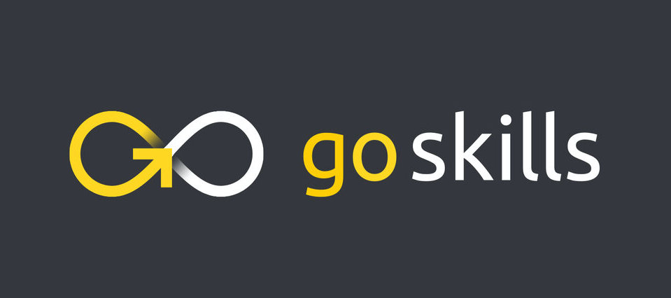 GoSkills Learning Platform: Is It Worth It? A Complete Review - The ...