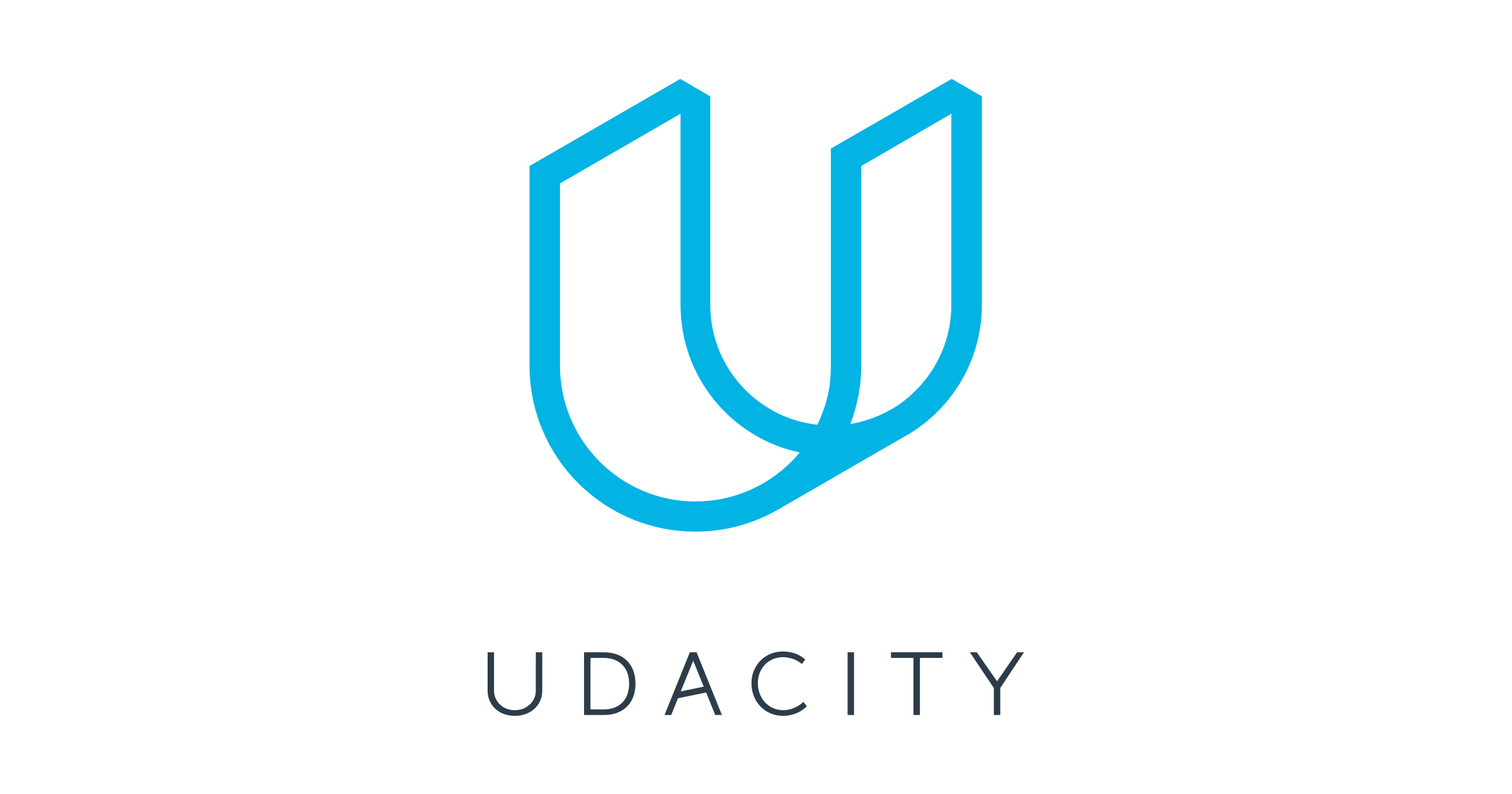 What is Udacity Nanodegrees