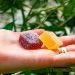 Why More People Are Buying Delta-8 THC Gummies