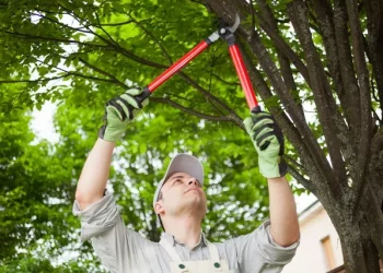 Why is Tree Pruning Done? Exploring its Importance