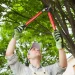 Why is Tree Pruning Done? Exploring its Importance