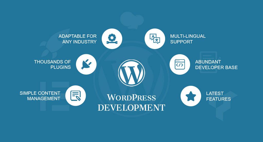 WordPress Developer