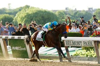 American Pharoah is the first horse in history to ever win the Grand Slam. Courtesy of Wikimedia.