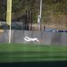Spring Preview: Baseball