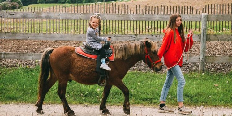 Getting Started With Horseback Riding: What You Need To Know
