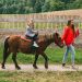 Getting Started With Horseback Riding: What You Need To Know