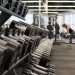 Ultimate Guides to Ecdysterone Muscle Building: Before and After