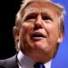 Trump Mobilizes Minority Voters