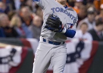 Blue Jays Flying High