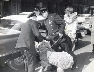 Ramnapping 1961: The True Story