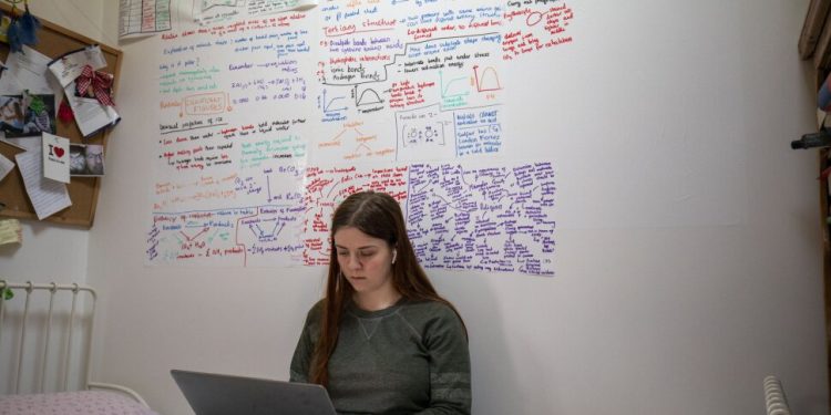 What Is Law Essay And How To Master The Skill Of Writing It
