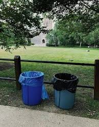 Fordham Must Go Green