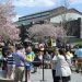 Advice to Live By: A Fun, Safe Spring Weekend