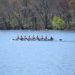 Crew Thrives at Kerr Cup