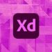 best Online Adobe XD Classes