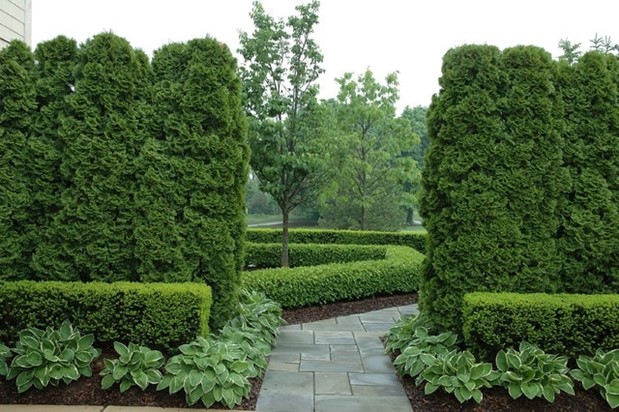 Grandiose Hedges