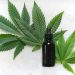 CBD Oil vs. Blood Pressure Medications: Which Is More Effective? 