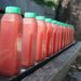 Fruit Juice H2Melon Debuts at FCRH