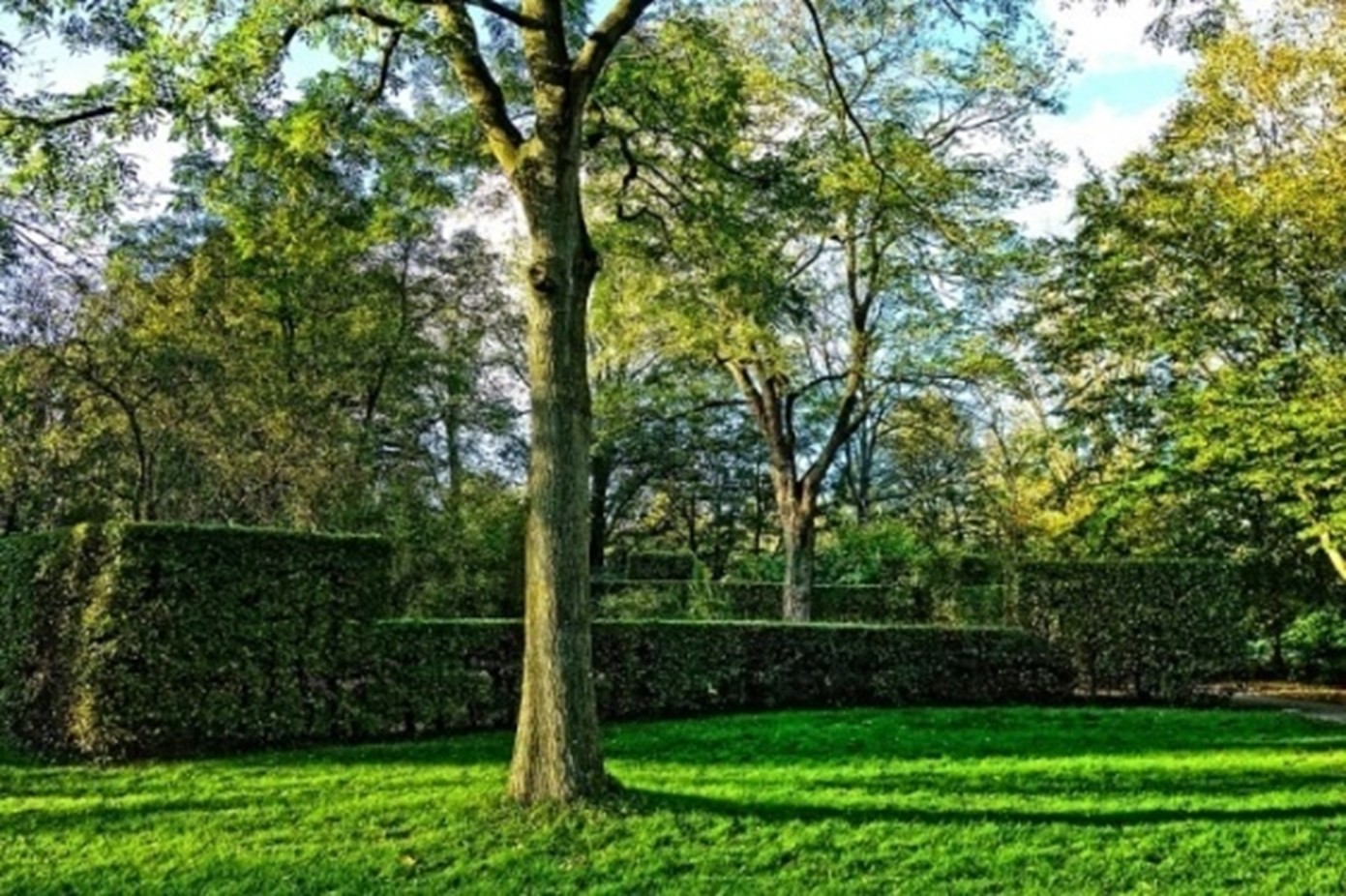 Hedged Walls