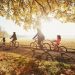 Fun Fall Activities