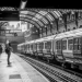The Tube: Mind the Gap and the Rules