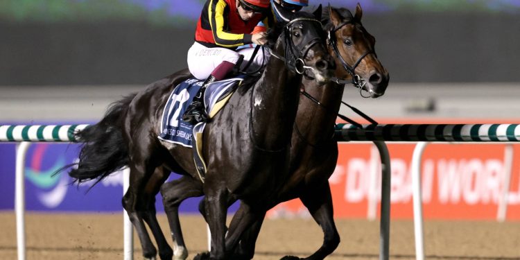 Japanese Duo Dominate Dubai World Cup Night