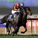 Japanese Duo Dominate Dubai World Cup Night