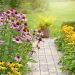 When to Plant Perennials In Your Garden