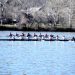 Crew Notches Two Gold Finishes