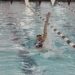 Women Swim Past Boston University