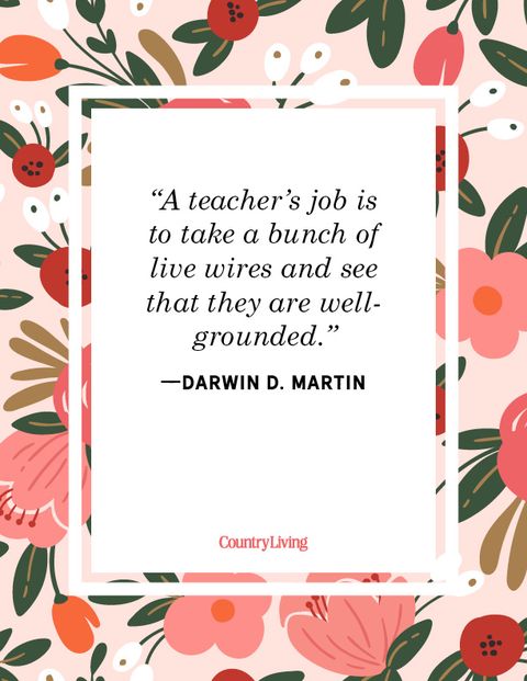 teacher quotes