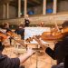 An Introduction to Violin Lessons - Unlocking Your Instrument's Potential