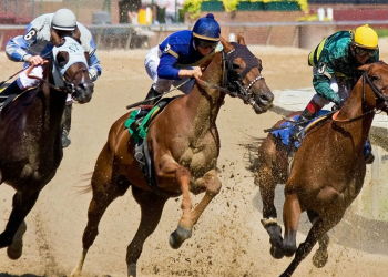 Get to Know the Different Types of Horse Race Bets | Betting on Horse Racing
