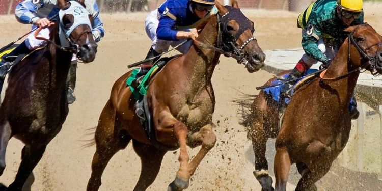Get to Know the Different Types of Horse Race Bets | Betting on Horse Racing