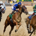 Get to Know the Different Types of Horse Race Bets | Betting on Horse Racing