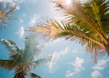 How To Best Experience Everything Fun Florida Has To Offer?