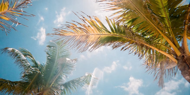 How To Best Experience Everything Fun Florida Has To Offer?