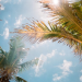 How To Best Experience Everything Fun Florida Has To Offer?