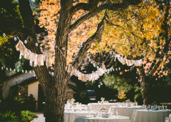 How To Organize A Proper Outdoor Event?