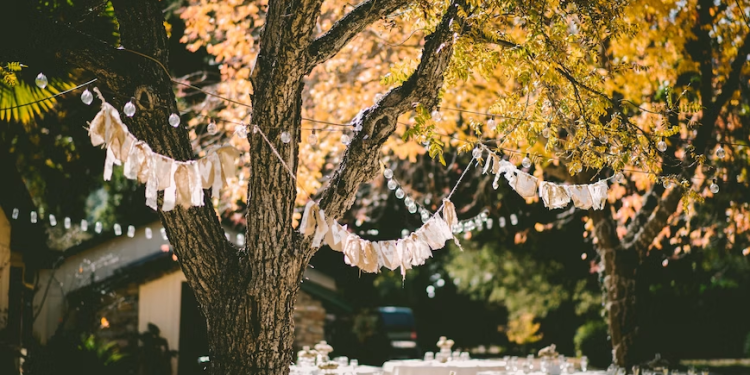 How To Organize A Proper Outdoor Event?