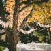 How To Organize A Proper Outdoor Event?