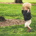 The Top Shoe Picks for Your Growing Toddler - You'll Love These Adorable Styles