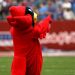 Sports Mascots: A Lighthearted Exploration of the History, Design, and Impact of Beloved Sports Mascots