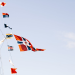 The Art and Science of Flag Design: Principles and Guidelines for Crafting a Meaningful Custom Flag