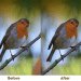 Improve Image Quality Effortlessly with Imglarger's AI Image Denoiser