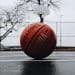 NBA Standings: A Comprehensive Analysis of the Current League and the Performance of the Favorites