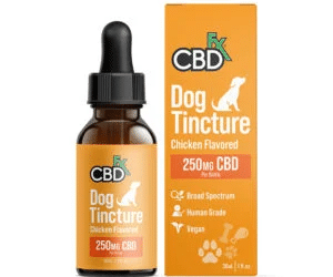 How Do You Buy The Finest Quality CBD Oil For Dogs?