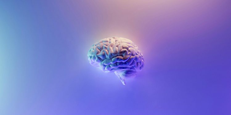 Mind Games: Unravelling the Intricacies of Your Brain