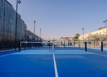 Pickleball Advisor: The Heart and Soul of Pickleball Enthusiasts
