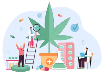 Customizing Health: Private Label Solutions for Personalized Supplements